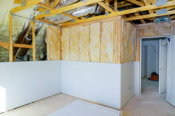 Best Insulation Maintenance and Repair in Bridgewater, VA