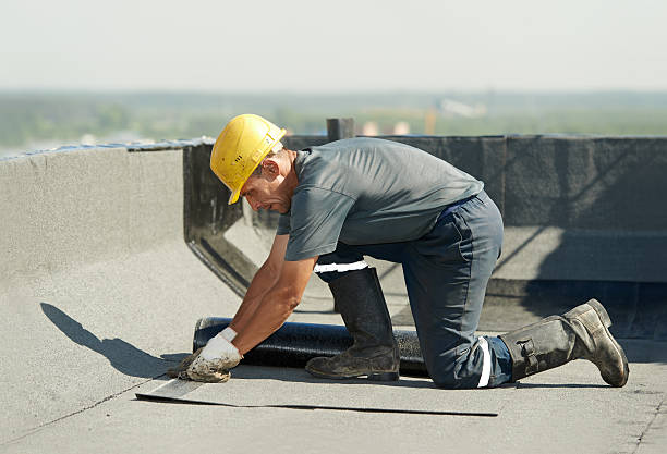 Best Geographic-Specific Insulation Services in Bridgewater, VA