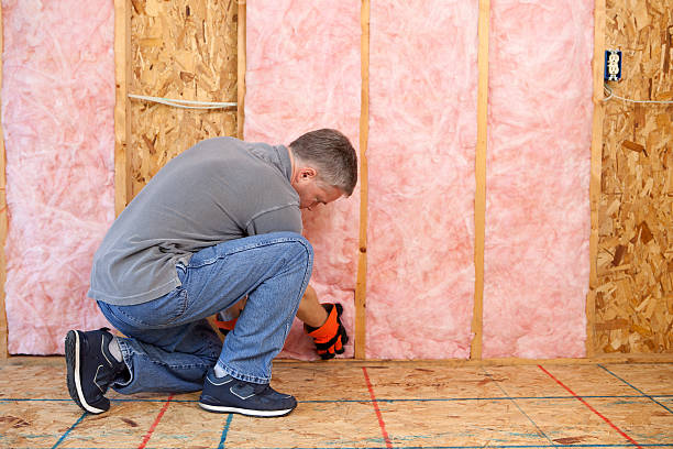 Best Cellulose Insulation in Bridgewater, VA